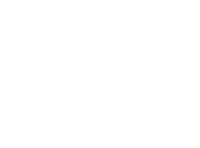 Logo W&A Footer